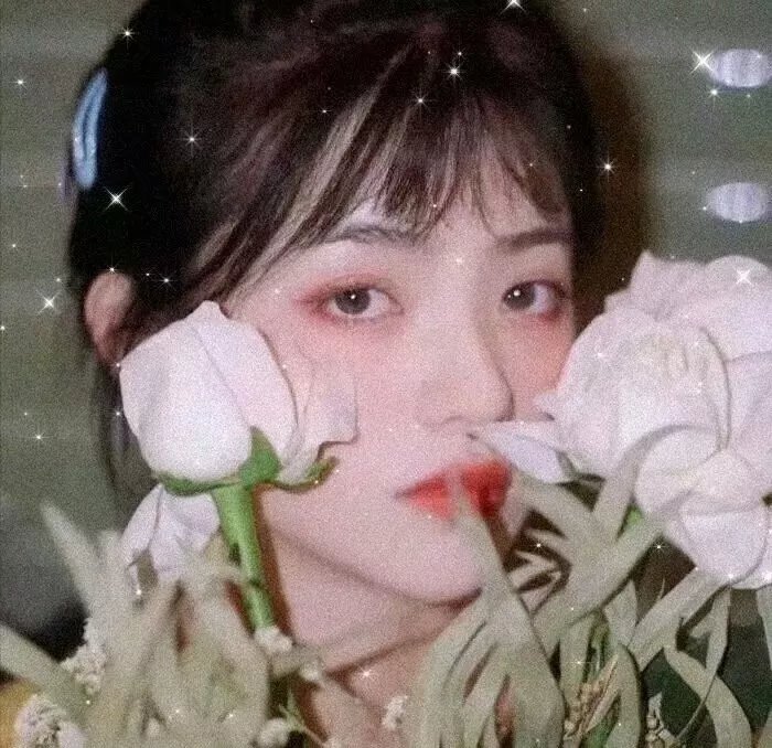 明星